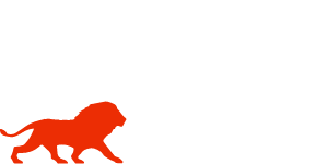 Aelyon Advisors